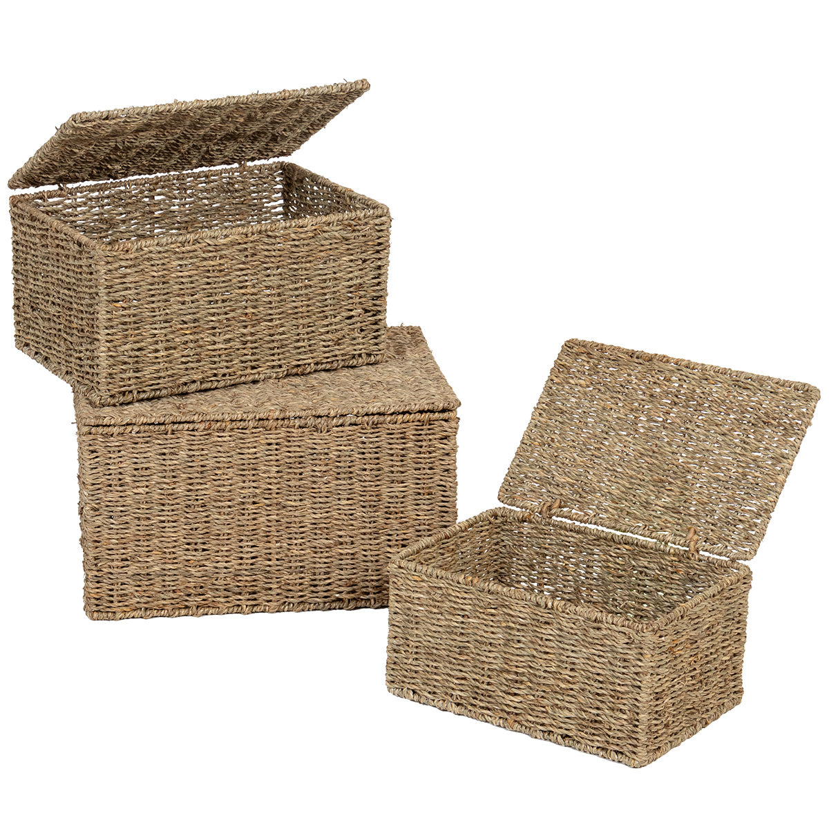 Set de 3 Lăzi din Material Vegetal - Natural