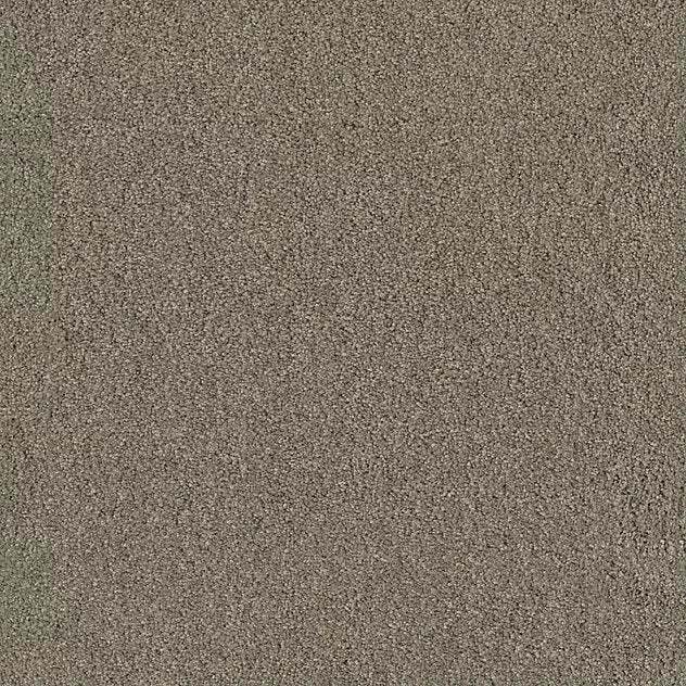 Mochetă Coco Vision