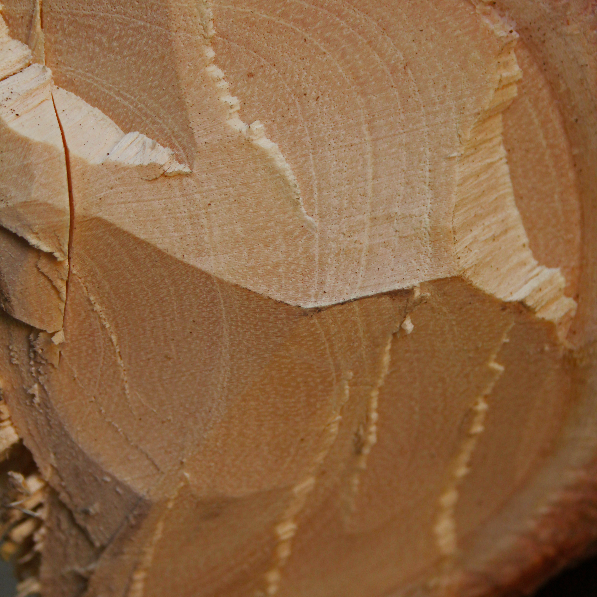 Rezervă odorizant cameră SANDAL WOOD – ulei esențial cu parfum lemnos de santal